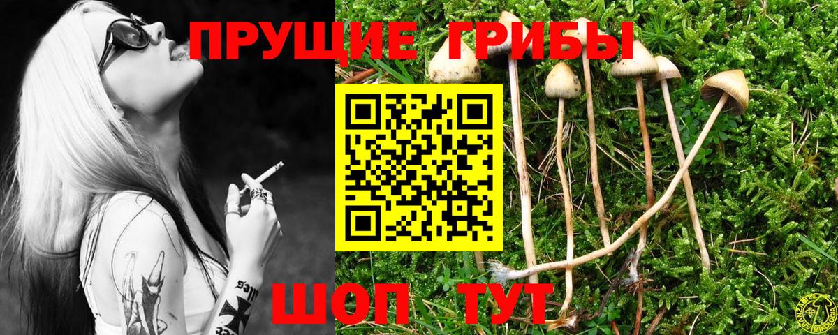 Сегежа  МЕТ  Гашиш  LSD-25  Codein  Каннабис  Alpha PVP СОЛЬ   Меф   Вход с VPN  Магазины продажи наркотиков 