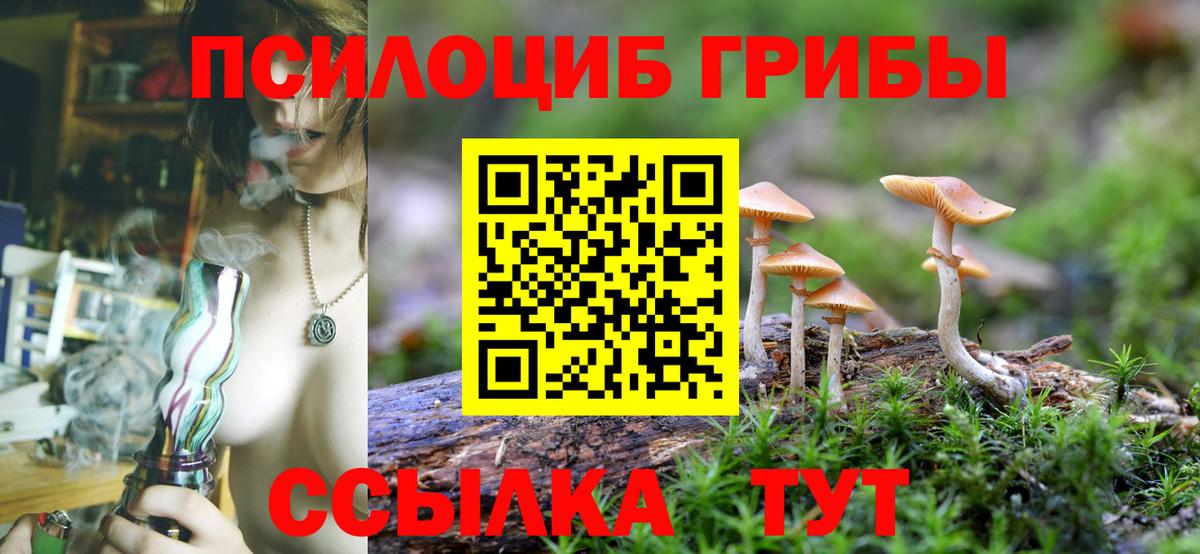 Сегежа  Псилоцибиновые грибы прущие грибы  Вход с VPN 