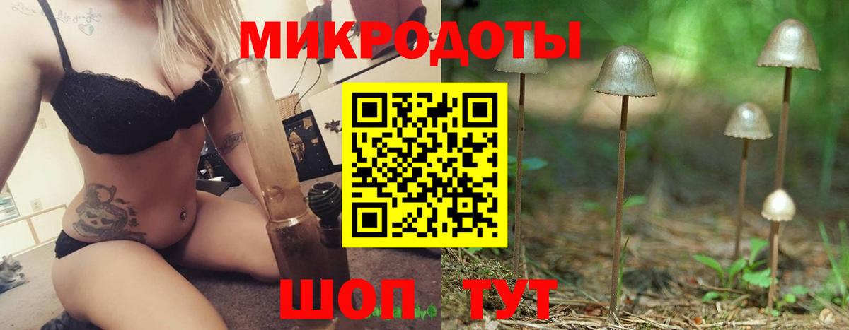Псилоцибиновые грибы Cubensis Сегежа